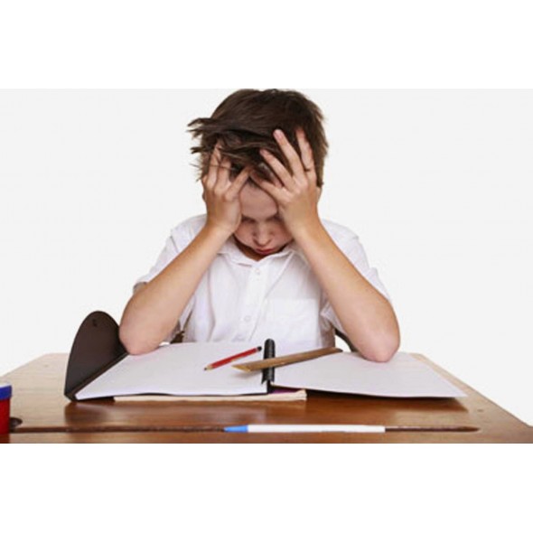 CURSO DIFICULTADES DE LECTO-ESCRITURA CURSO DIFICULTADES DE LECTO-ESCRITURA